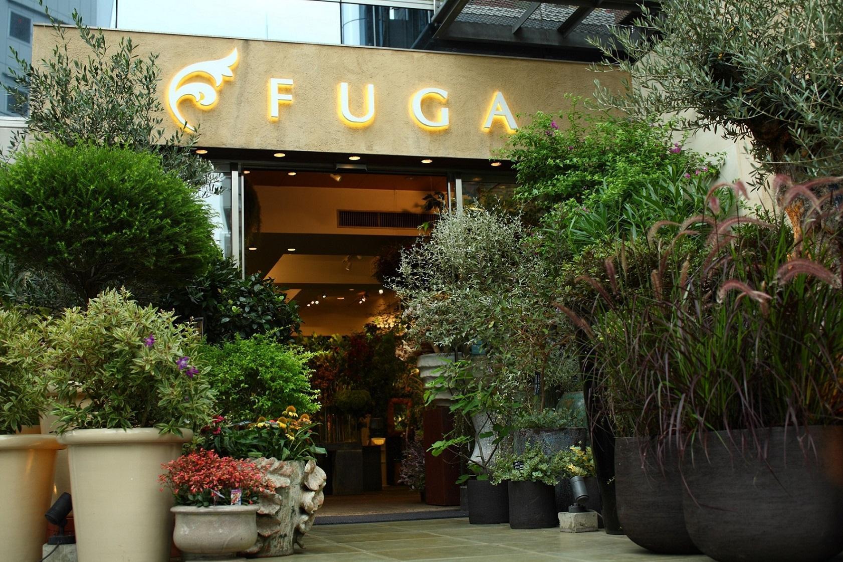 すべての美しい花の画像 ベストfuga 花