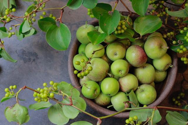 花屋スタッフ募集 東京都目黒区柿の木坂1 30 11friends柿の木坂 1f 東急東横線 都立大学 花屋さんのアルバイト 社員の求人情報 花job