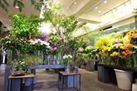 Fugaスタッフ募集 Flower Section 東京都神宮前3 7 5 青山msビル1f B1f 東京メトロ銀座線 外苑前 花屋 さんのアルバイト 社員の求人情報 花job
