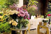 エントランスではスタッフ全員で企画する季節の花や 植物を使ったフェアを定期的に行っております。