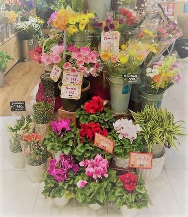 東光フローラ菊名店販売スタッフ募集 神奈川県横浜市港北区菊名7 1 1 東急ストア菊名店内 東急東横線 菊名 花屋 さんのアルバイト 社員の求人情報 花job