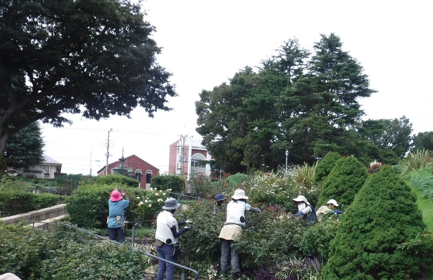 庭園植物メンテナンススタッフ募集 神奈川県横浜市内 みなとみらい線 元町 中華街 花屋さんのアルバイト 社員の求人情報 花job