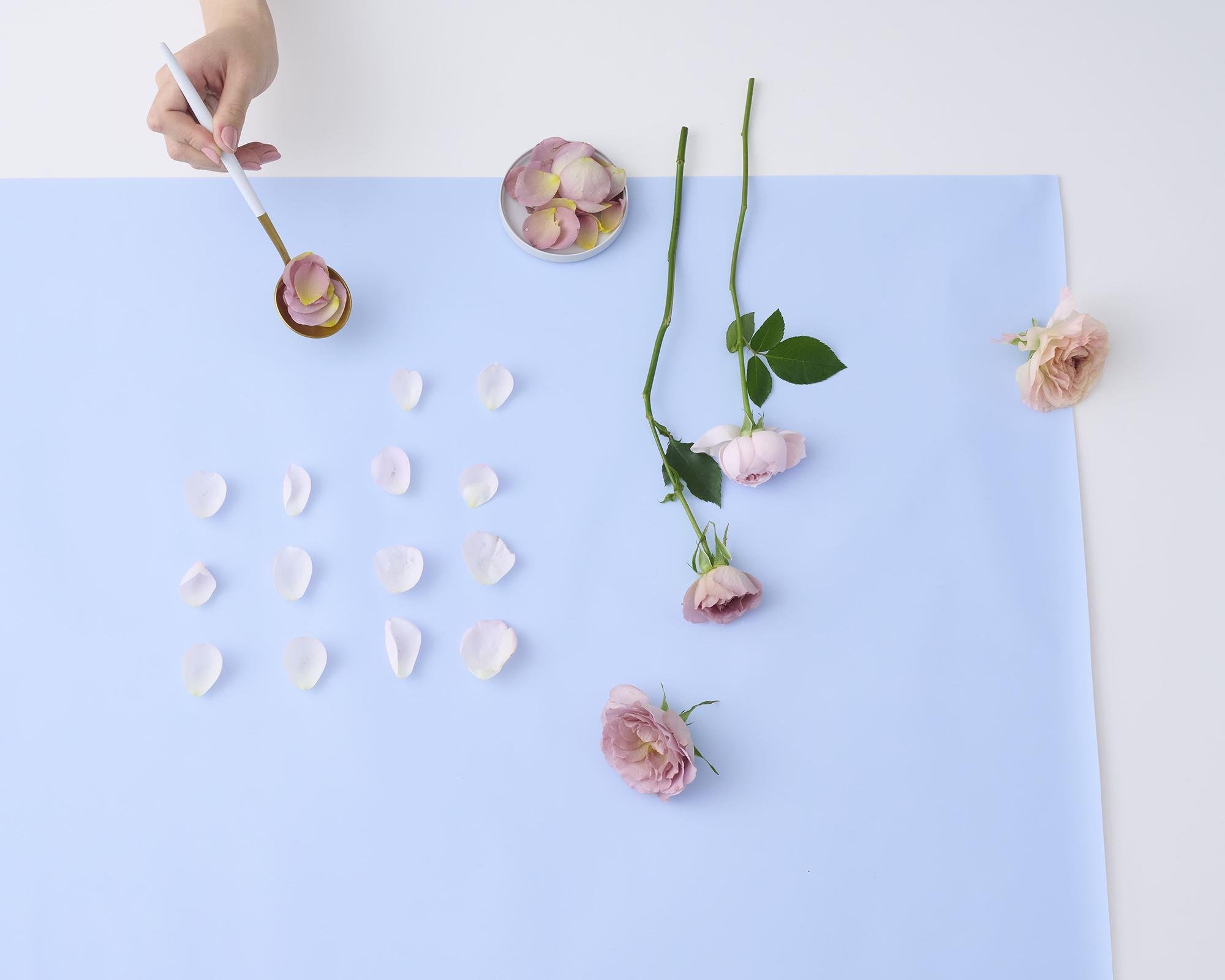 押し花　加工風景①