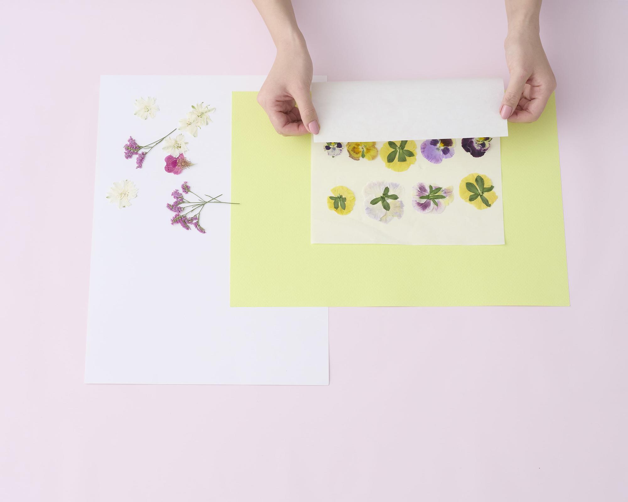 押し花　加工風景②