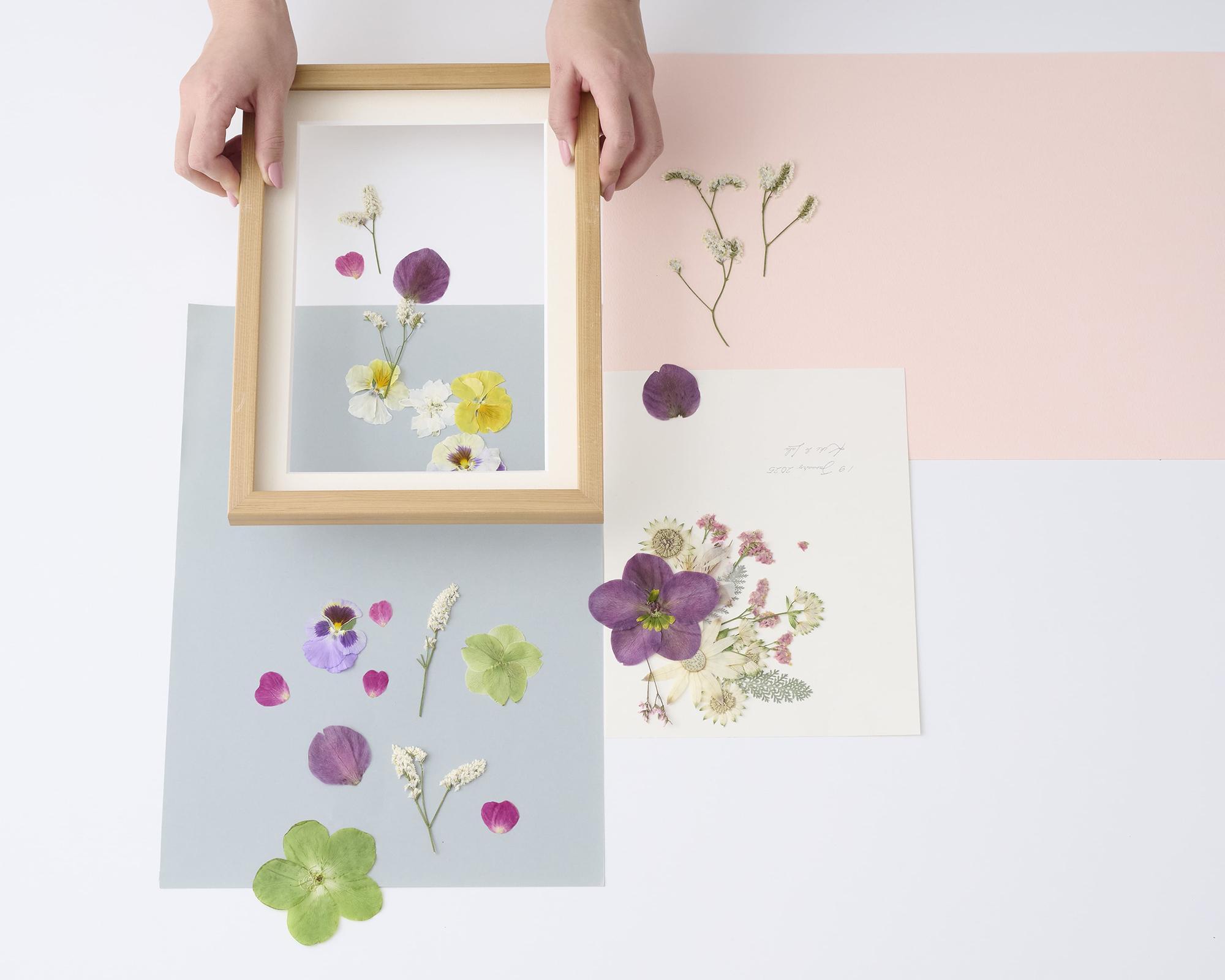 押し花　加工風景④